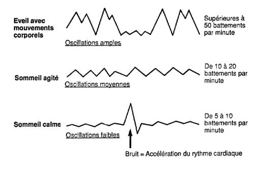 Oscillation